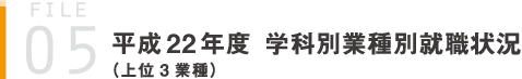 平成22 年度学科別業種別就職状況（上位3 業種）